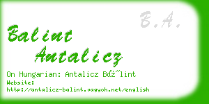 balint antalicz business card